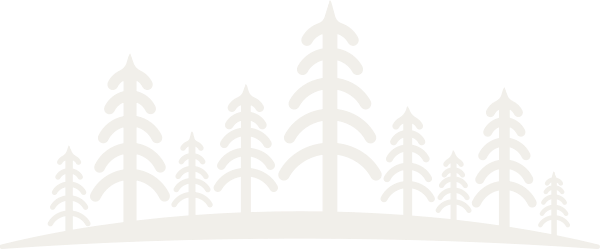 grafika
